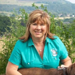 Picture from Debbie Pomfret - Digs for Dogs Owner