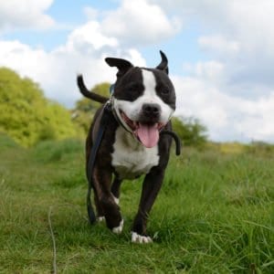 Jon's Gallery Thumbnail