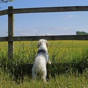 Seana's Gallery Thumbnail