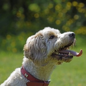 Seana's Gallery Thumbnail