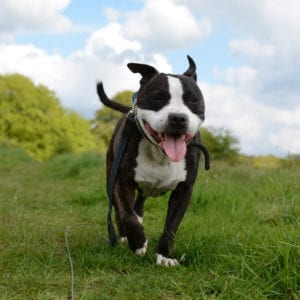 Mick's Gallery Thumbnail