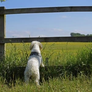 Cate's Gallery Thumbnail