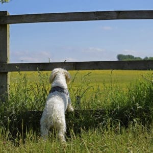 Digs's Gallery Thumbnail