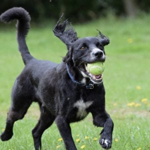 Mick's Gallery Thumbnail