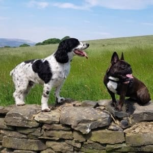 Cate's Gallery Thumbnail