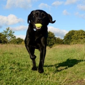 Nicole's Gallery Thumbnail