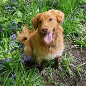 Carrie's Gallery Thumbnail