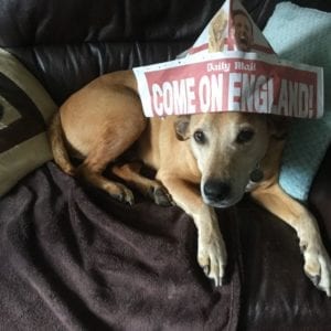 Lisa's Gallery Thumbnail