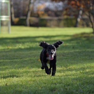 Jon's Gallery Thumbnail