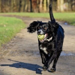 Carrie's Gallery Thumbnail