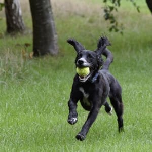 Tom's Gallery Thumbnail