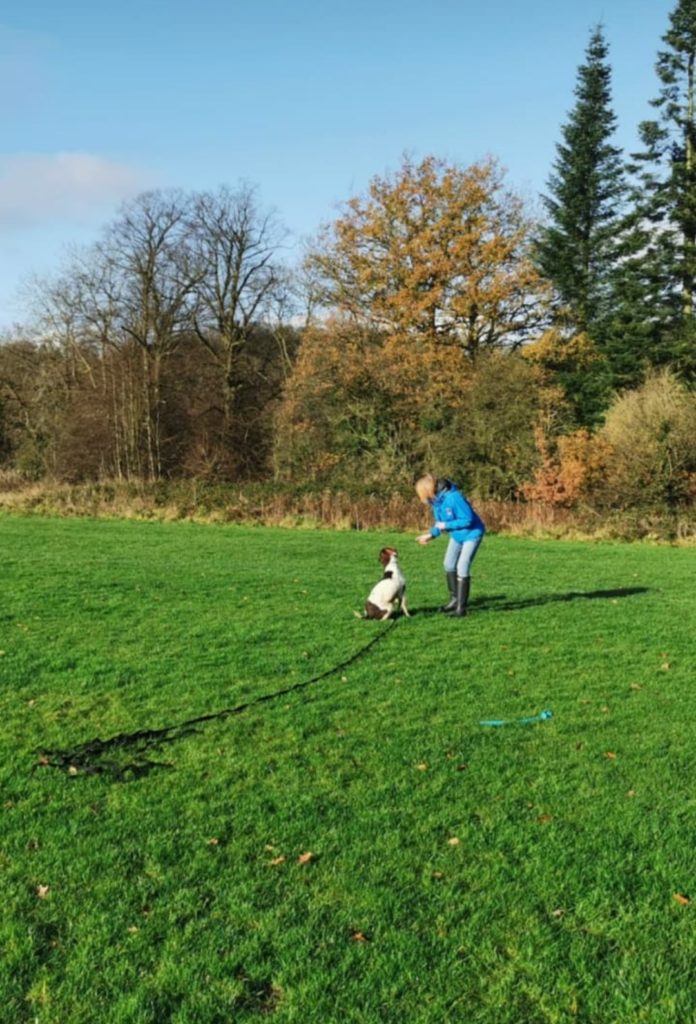 Lady training Spaniel
