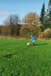 Lady training Spaniel