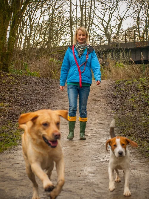 dog walking