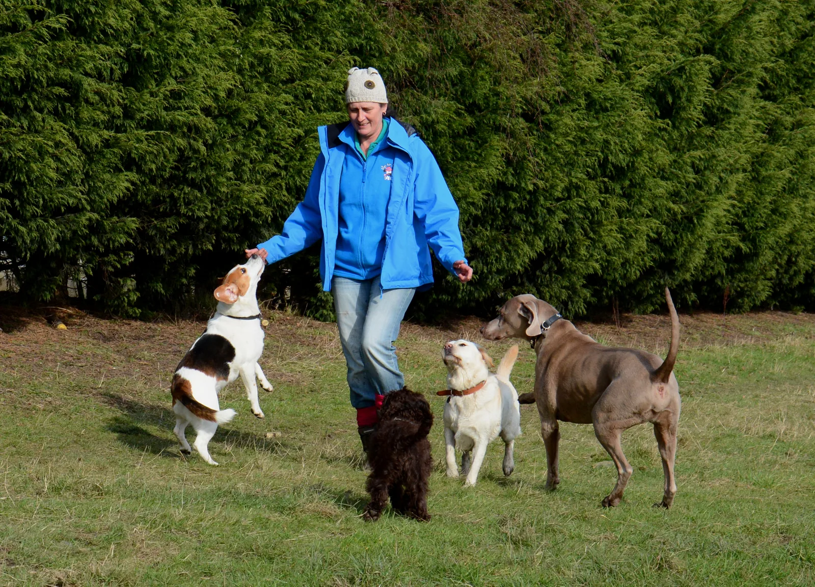 DogWalking 015