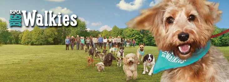 rspca walk