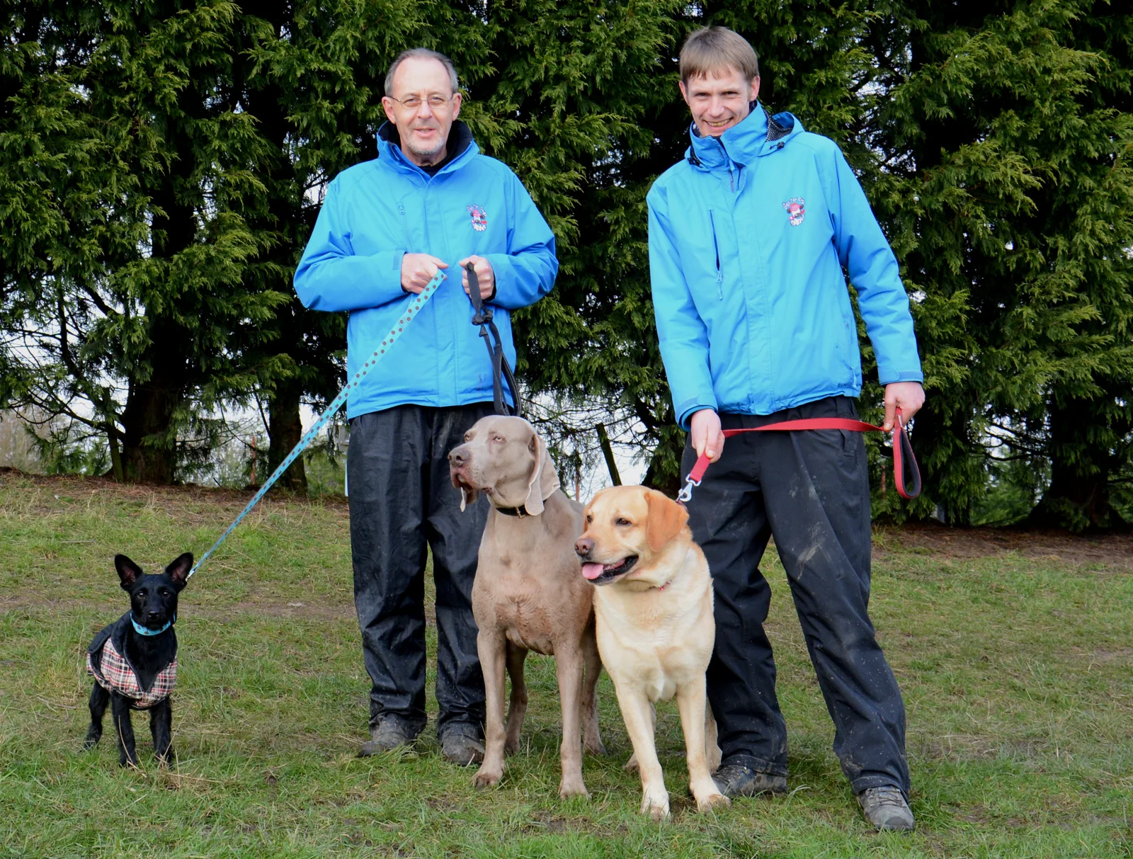 DogWalking 027
