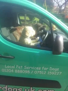 Chester at the wheel