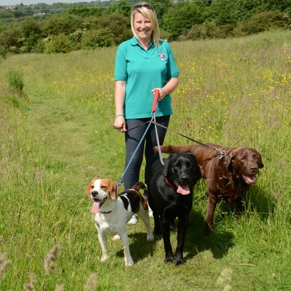 bev dog walking