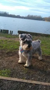 Baxter