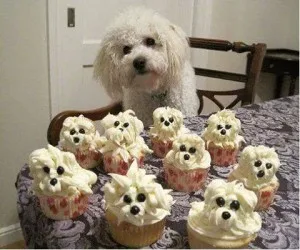 pup cakes