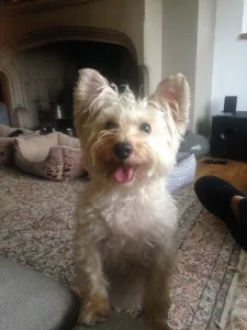 Betty