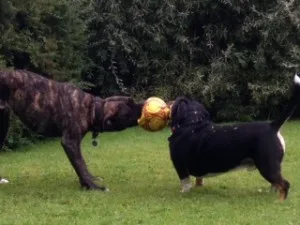 bobby and georgia