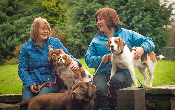 Welcome to The Digs for Dogs Blog