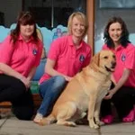 dog grooming bury