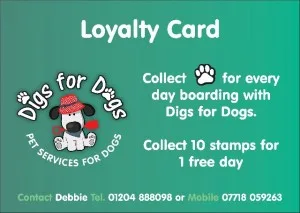 Loyalty card