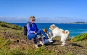 Dog Walk