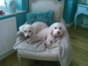 Paddy and Holly
