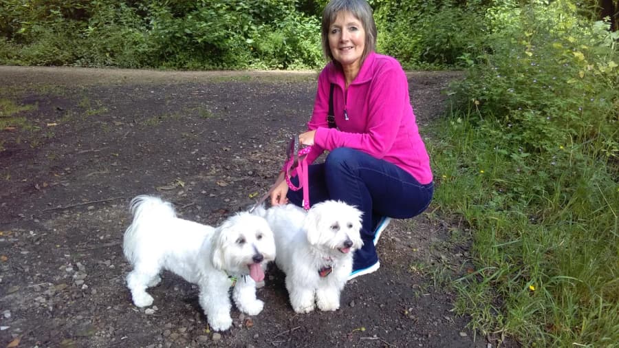 A home boarder enjoying an outdoor walk with dogs