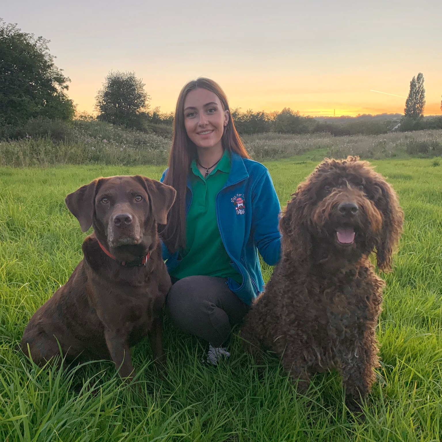 A Digs for Dogs team member with two dogs in a field at sunset
