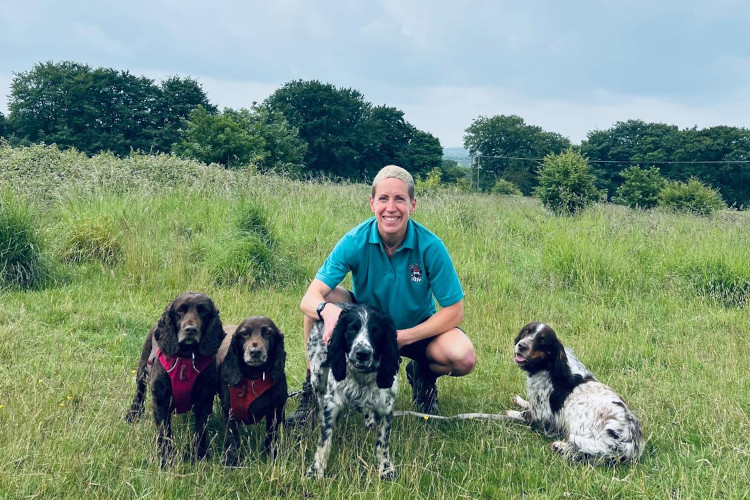 A Digs for Dogs walker with four dogs on a group walk in the countryside