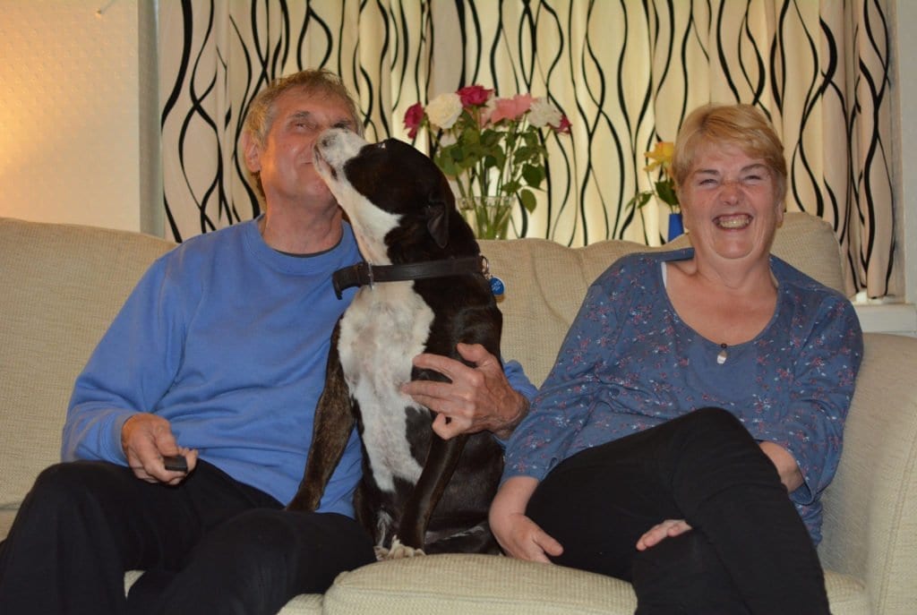 A couple sharing their sofa with an affectionate dog