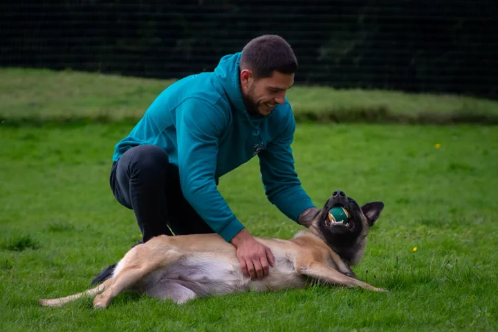 Julian giving a dog a belly rub on the grass