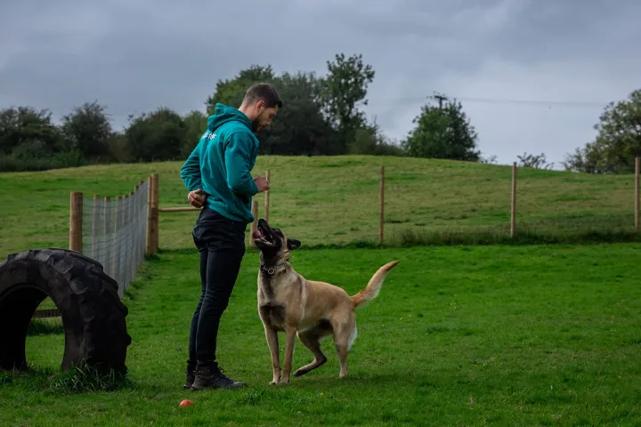 Julian and a dog beside a tyre in the field