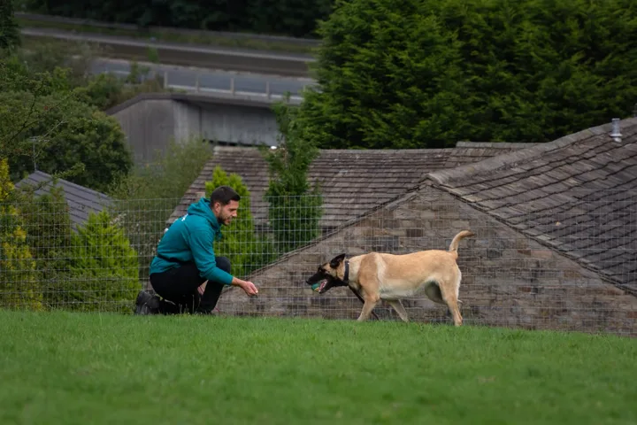 Julian crouching beside a dog outdoors
