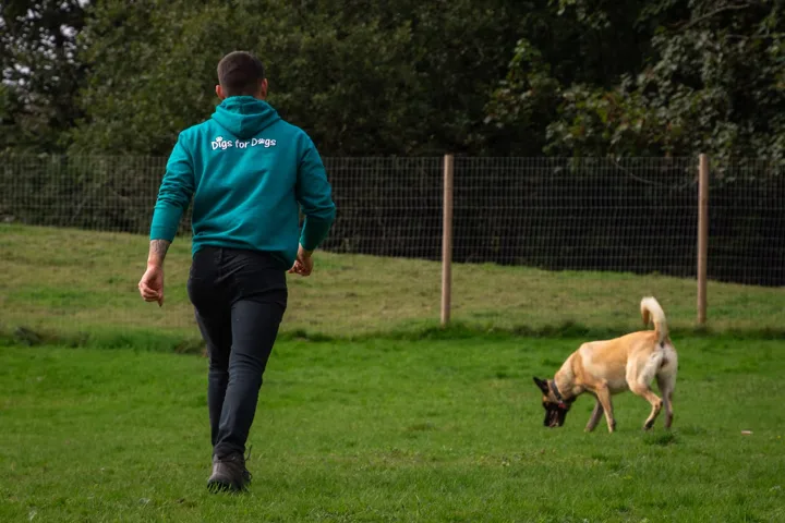 Julian walking across the grass with a dog