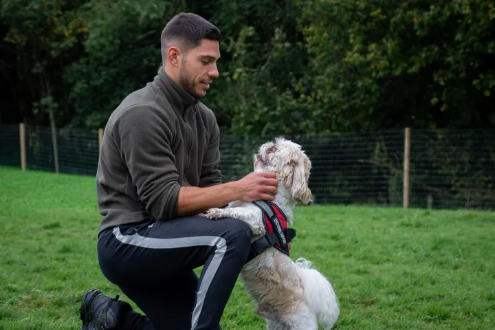 Julian giving a small dog some attention